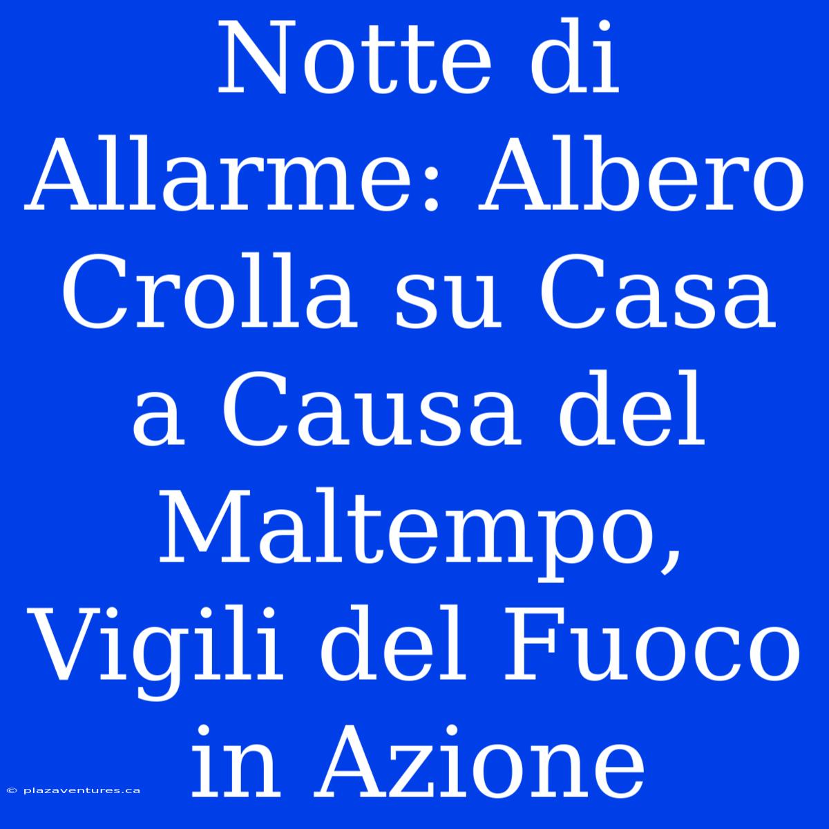 Notte Di Allarme: Albero Crolla Su Casa A Causa Del Maltempo, Vigili Del Fuoco In Azione