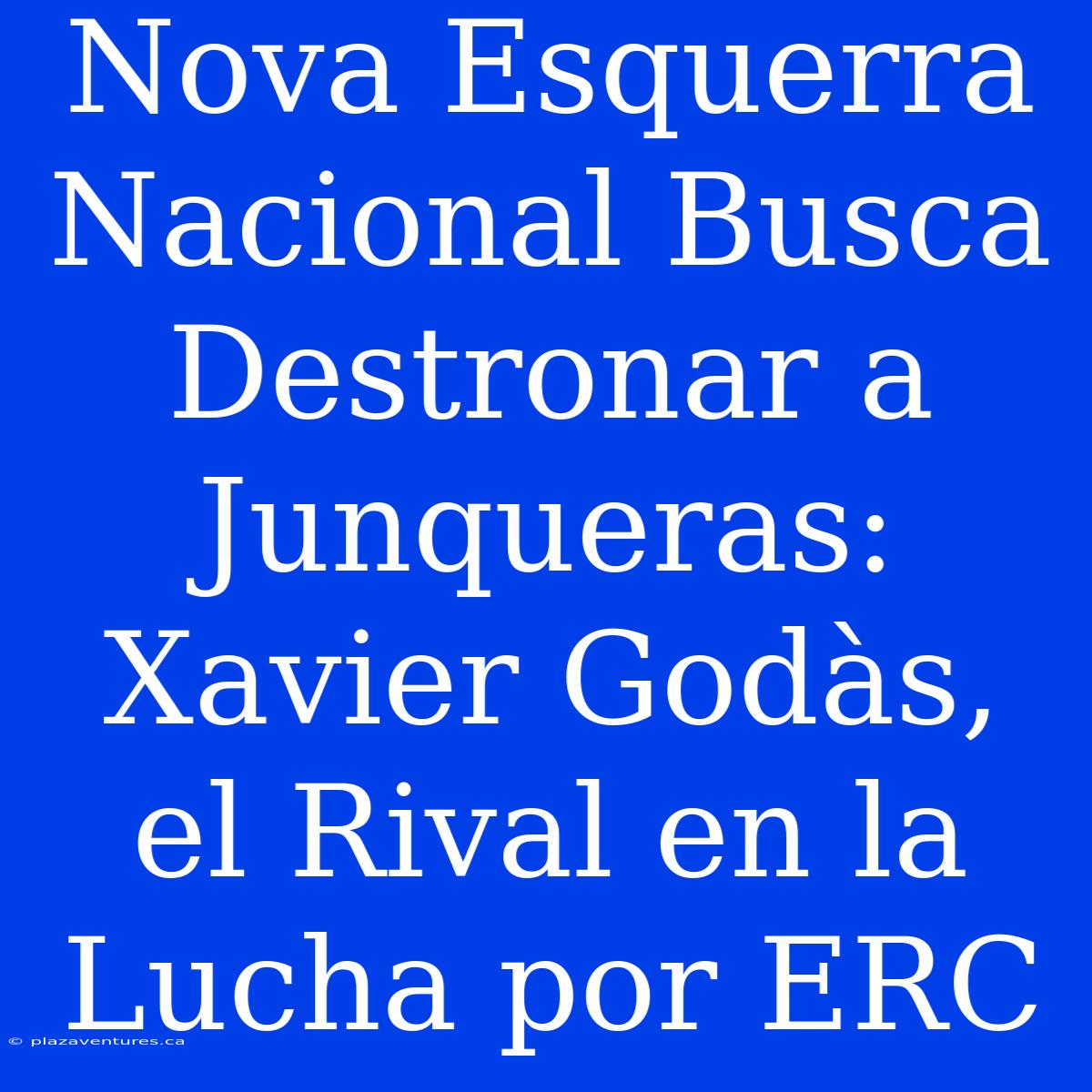 Nova Esquerra Nacional Busca Destronar A Junqueras: Xavier Godàs, El Rival En La Lucha Por ERC