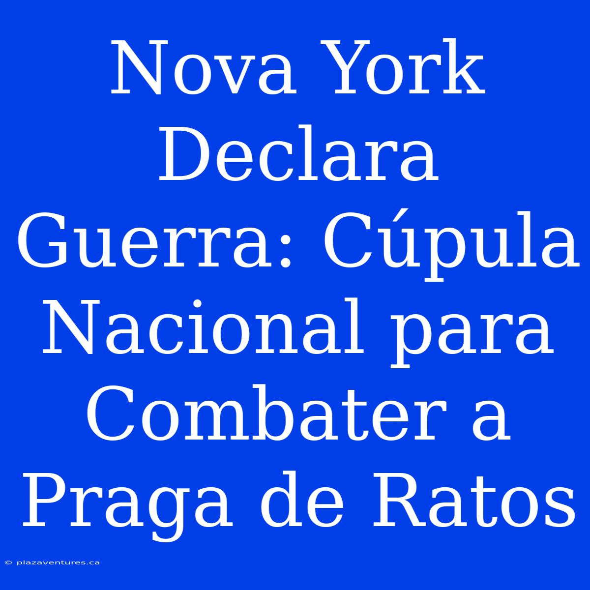 Nova York Declara Guerra: Cúpula Nacional Para Combater A Praga De Ratos