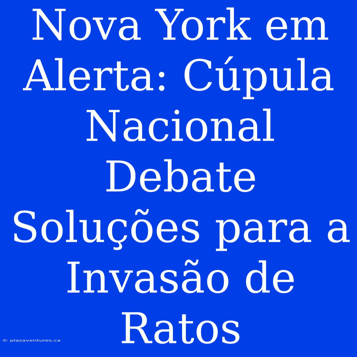 Nova York Em Alerta: Cúpula Nacional Debate Soluções Para A Invasão De Ratos