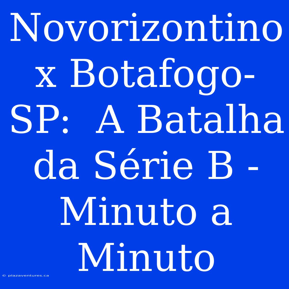 Novorizontino X Botafogo-SP:  A Batalha Da Série B -  Minuto A Minuto