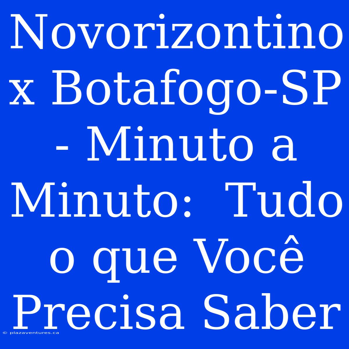 Novorizontino X Botafogo-SP - Minuto A Minuto:  Tudo O Que Você Precisa Saber