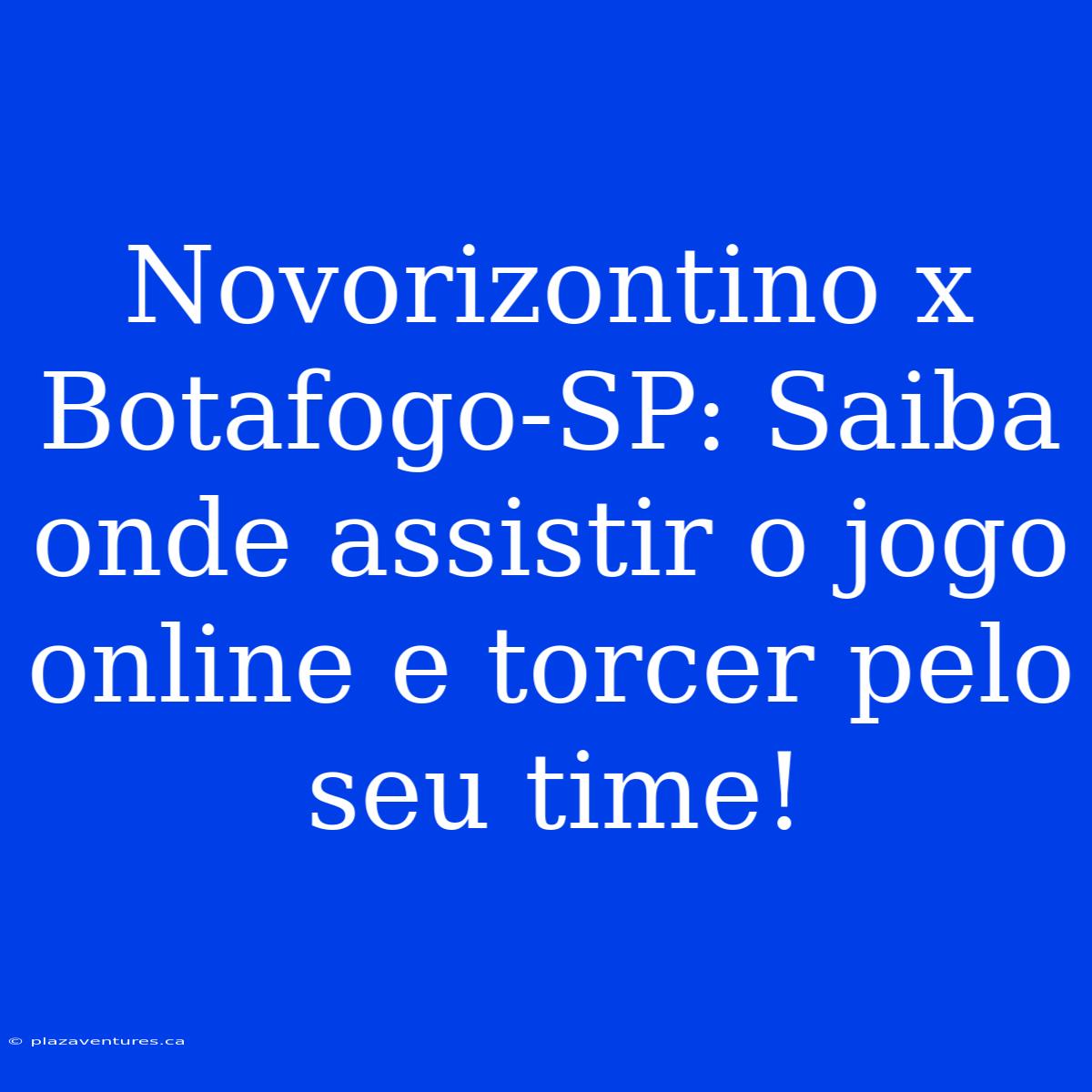 Novorizontino X Botafogo-SP: Saiba Onde Assistir O Jogo Online E Torcer Pelo Seu Time!