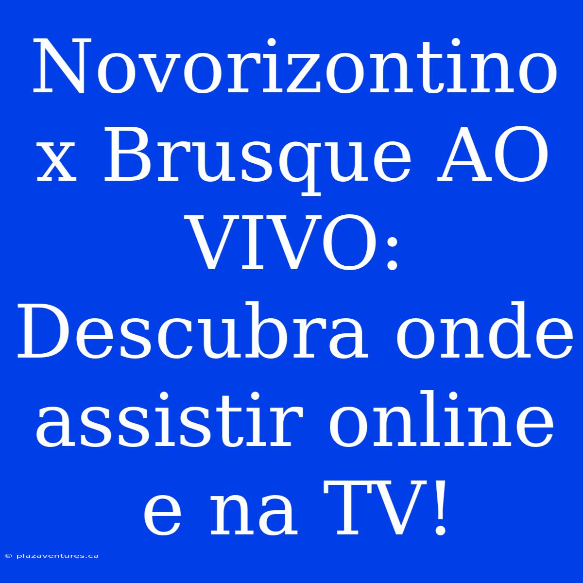 Novorizontino X Brusque AO VIVO: Descubra Onde Assistir Online E Na TV!