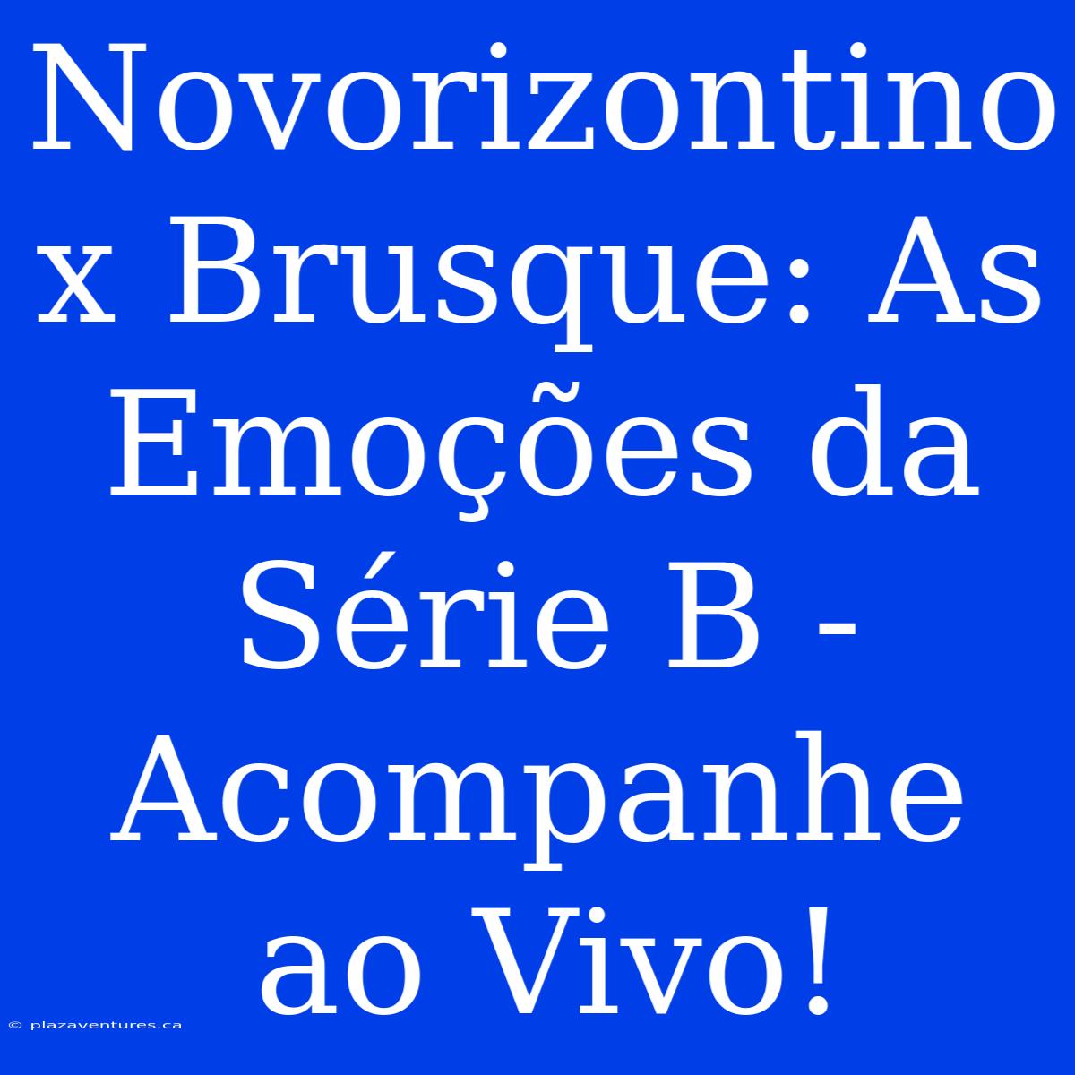 Novorizontino X Brusque: As Emoções Da Série B - Acompanhe Ao Vivo!