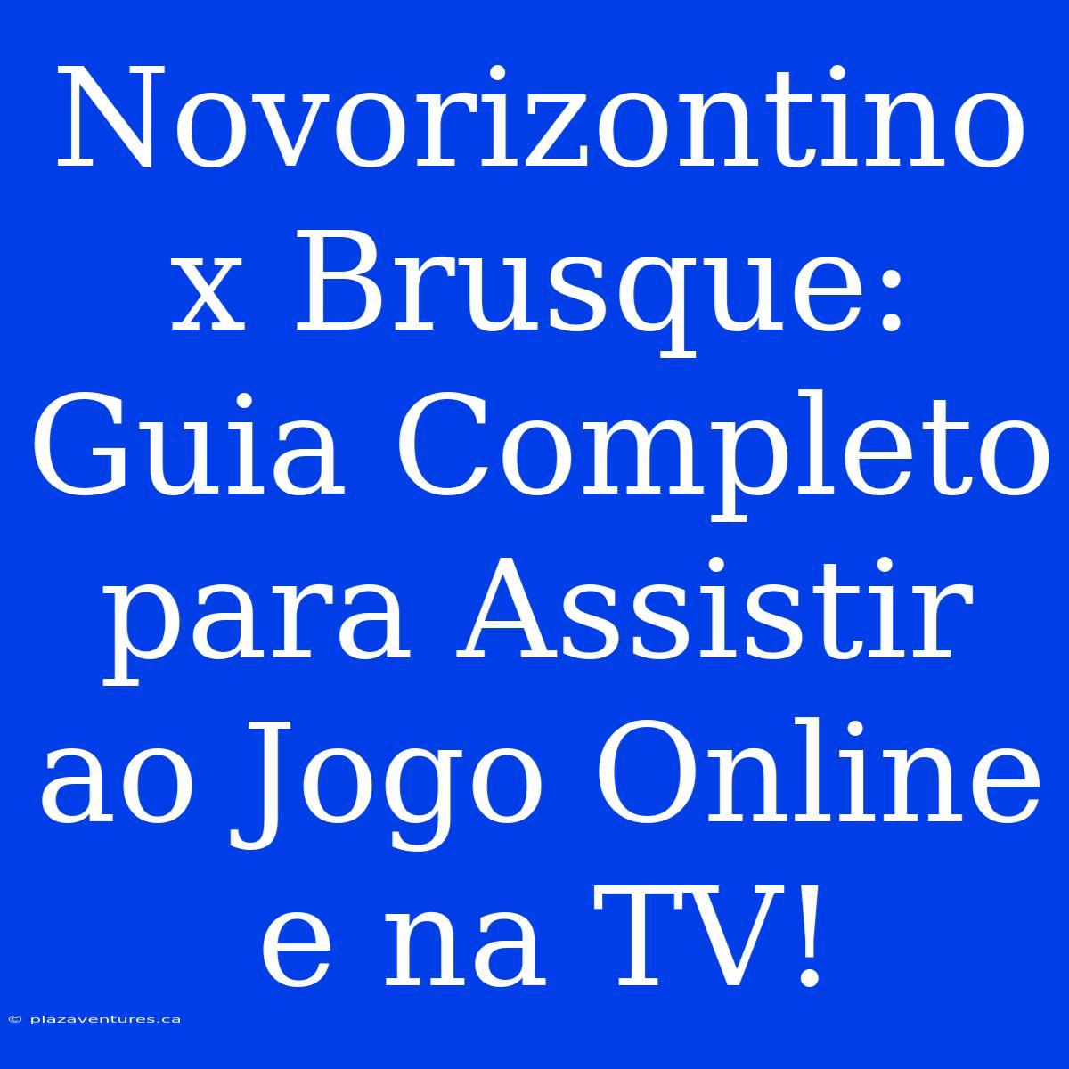 Novorizontino X Brusque: Guia Completo Para Assistir Ao Jogo Online E Na TV!