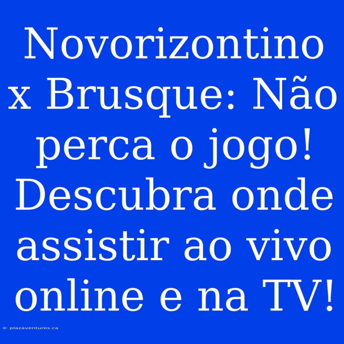 Novorizontino X Brusque: Não Perca O Jogo! Descubra Onde Assistir Ao Vivo Online E Na TV!