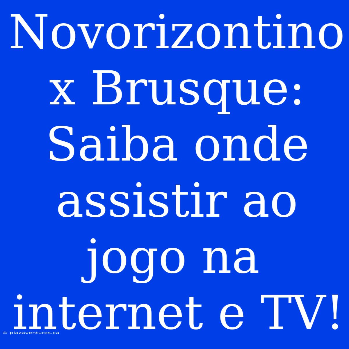 Novorizontino X Brusque: Saiba Onde Assistir Ao Jogo Na Internet E TV!