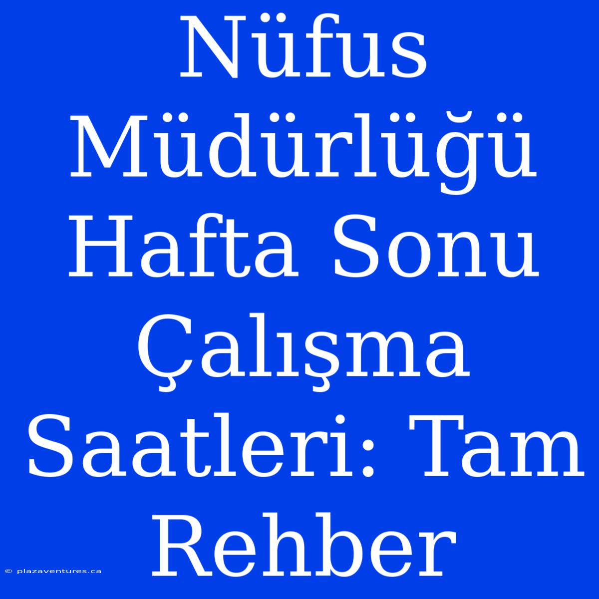 Nüfus Müdürlüğü Hafta Sonu Çalışma Saatleri: Tam Rehber