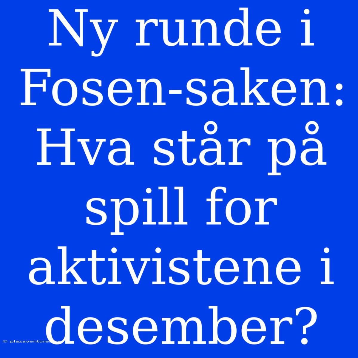 Ny Runde I Fosen-saken: Hva Står På Spill For Aktivistene I Desember?