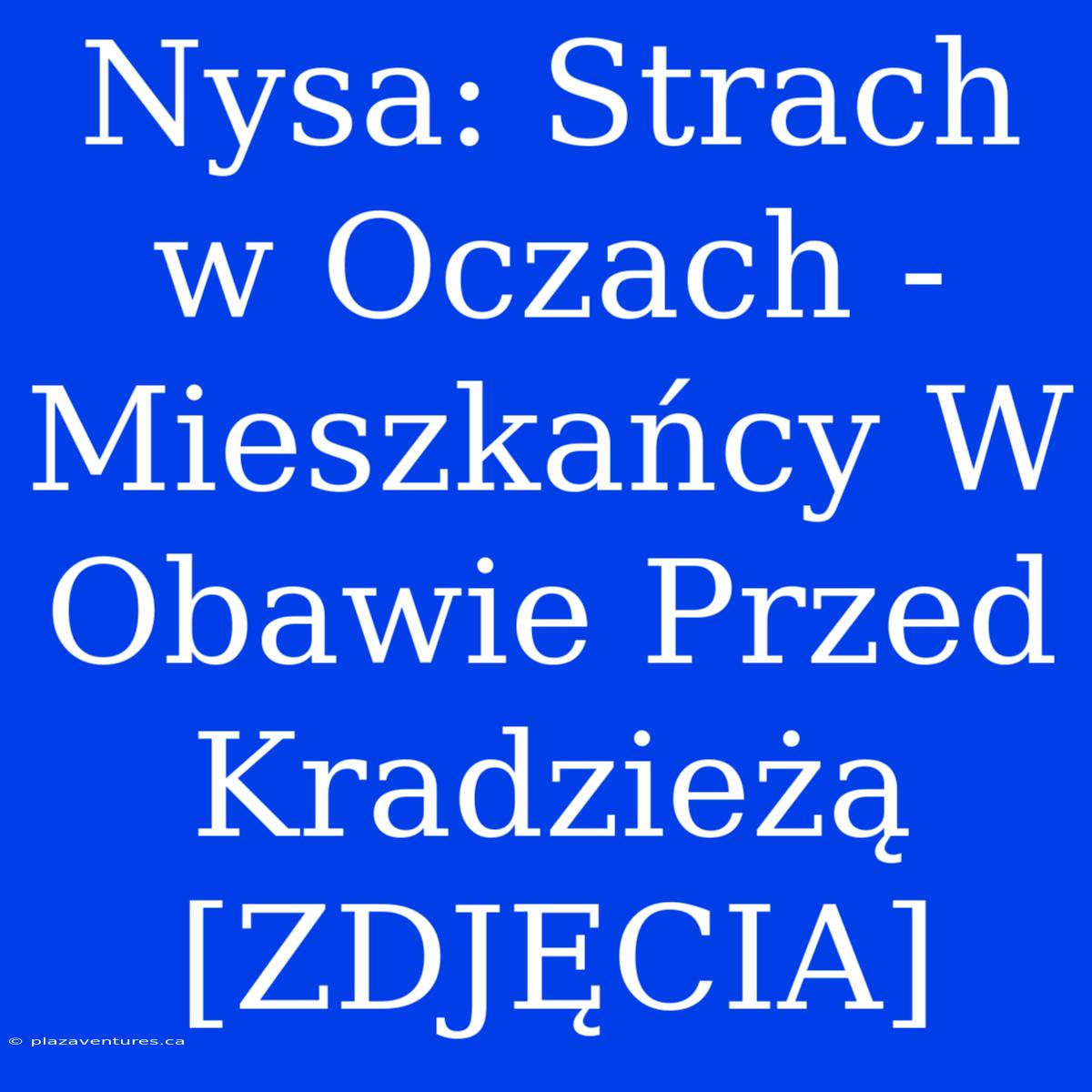 Nysa: Strach W Oczach - Mieszkańcy W Obawie Przed Kradzieżą [ZDJĘCIA]