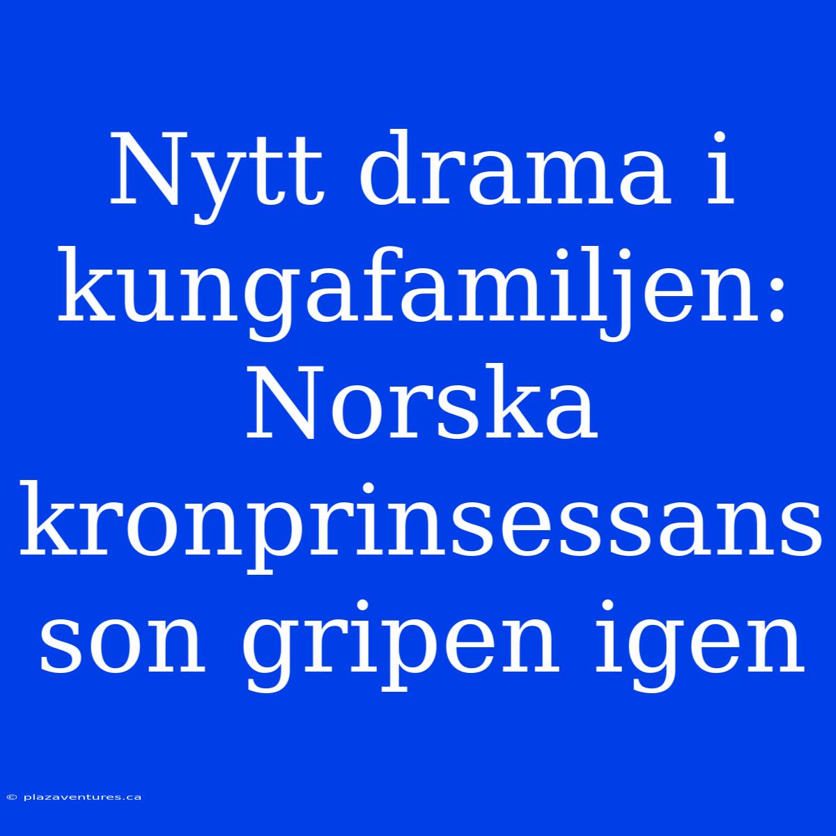 Nytt Drama I Kungafamiljen: Norska Kronprinsessans Son Gripen Igen