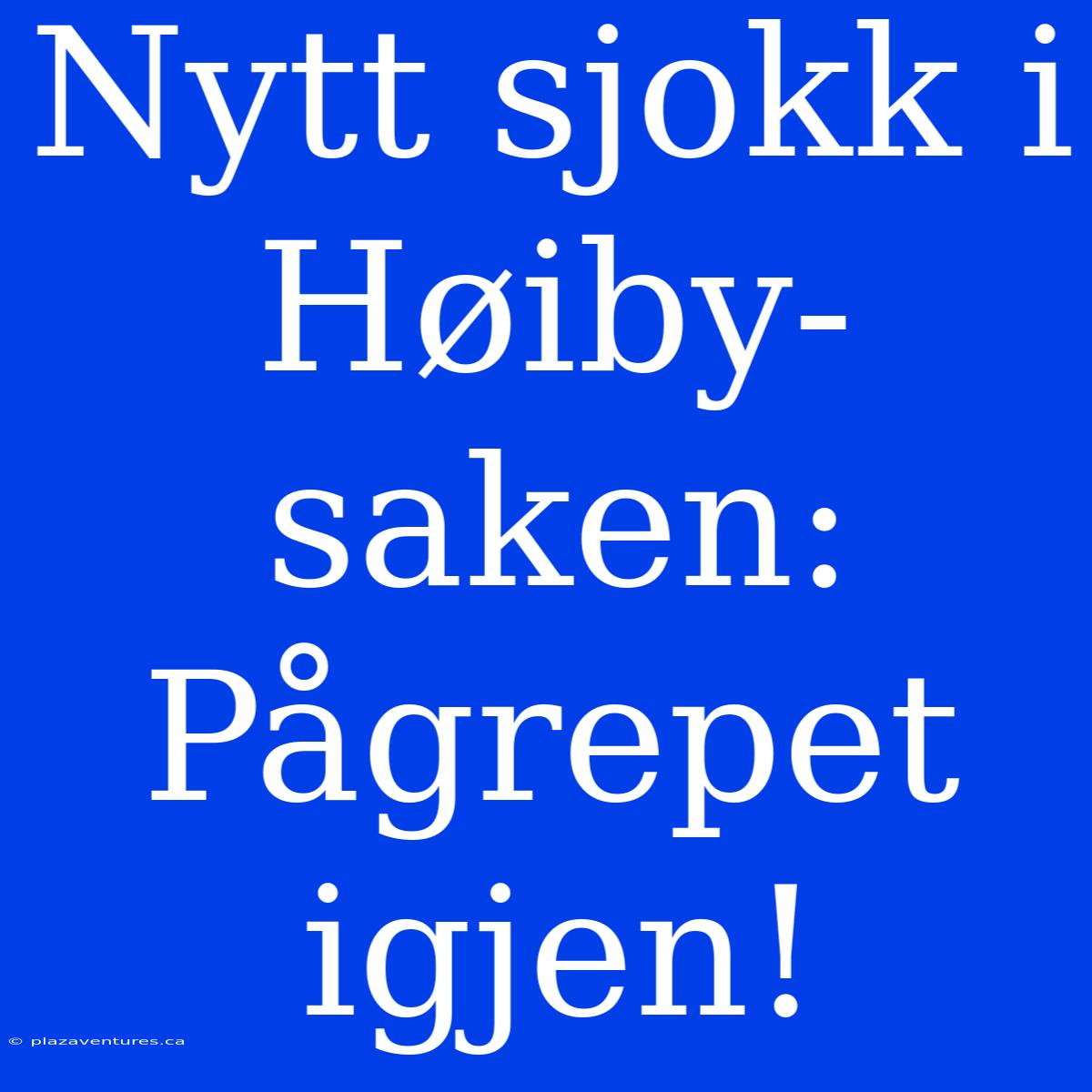 Nytt Sjokk I Høiby-saken: Pågrepet Igjen!