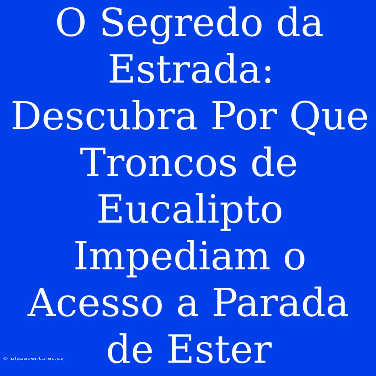 O Segredo Da Estrada: Descubra Por Que Troncos De Eucalipto Impediam O Acesso A Parada De Ester