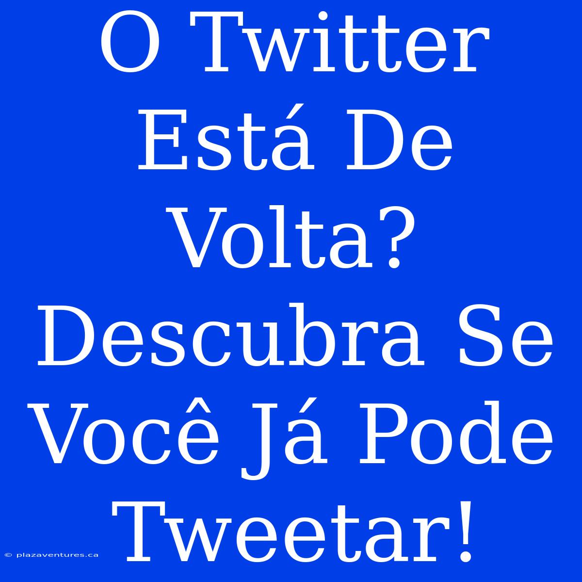 O Twitter Está De Volta? Descubra Se Você Já Pode Tweetar!