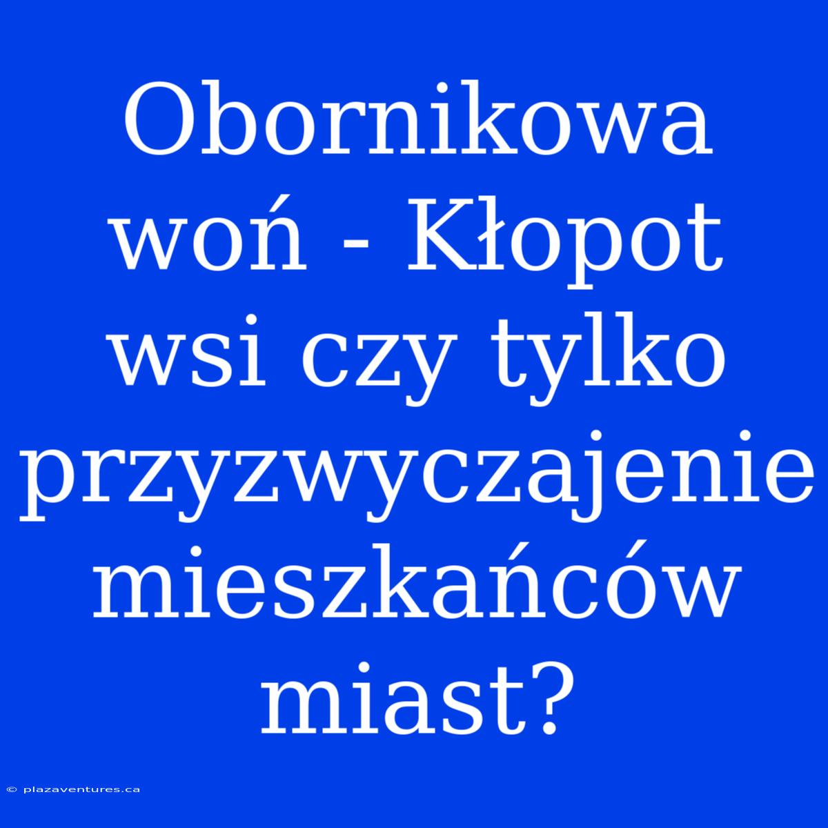 Obornikowa Woń - Kłopot Wsi Czy Tylko Przyzwyczajenie Mieszkańców Miast?