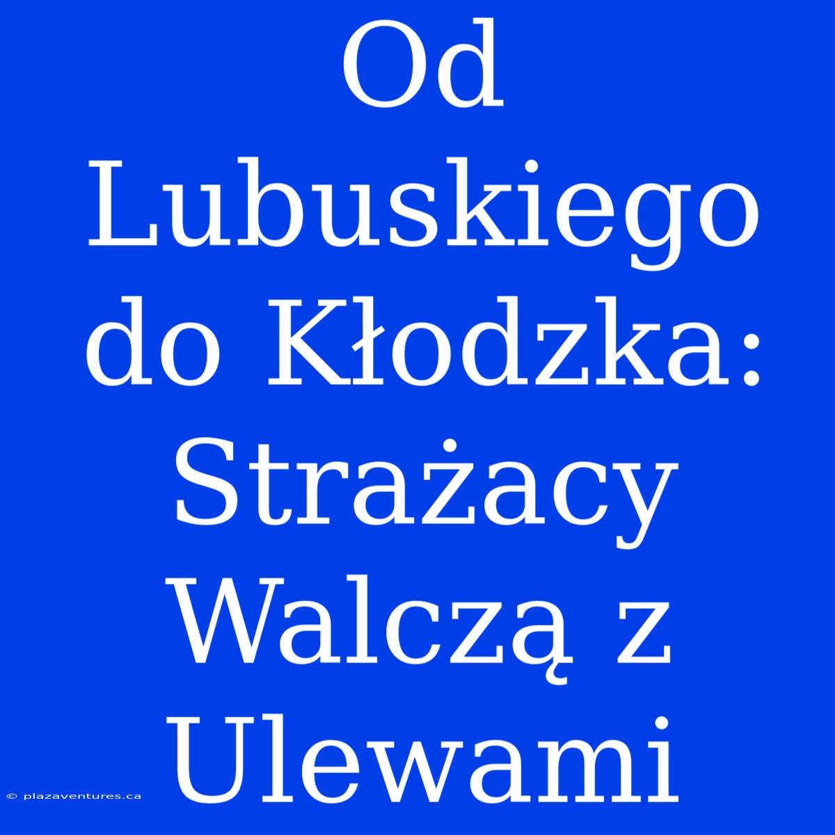 Od Lubuskiego Do Kłodzka: Strażacy Walczą Z Ulewami