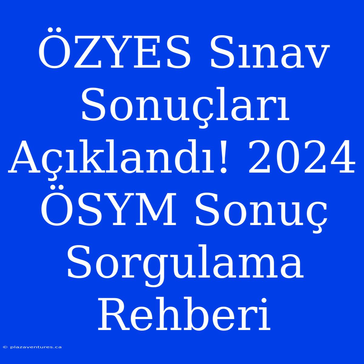 ÖZYES Sınav Sonuçları Açıklandı! 2024 ÖSYM Sonuç Sorgulama Rehberi