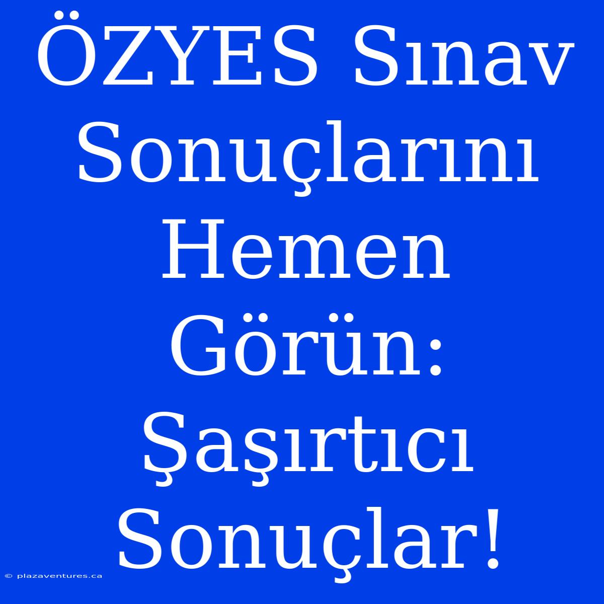 ÖZYES Sınav Sonuçlarını Hemen Görün: Şaşırtıcı Sonuçlar!