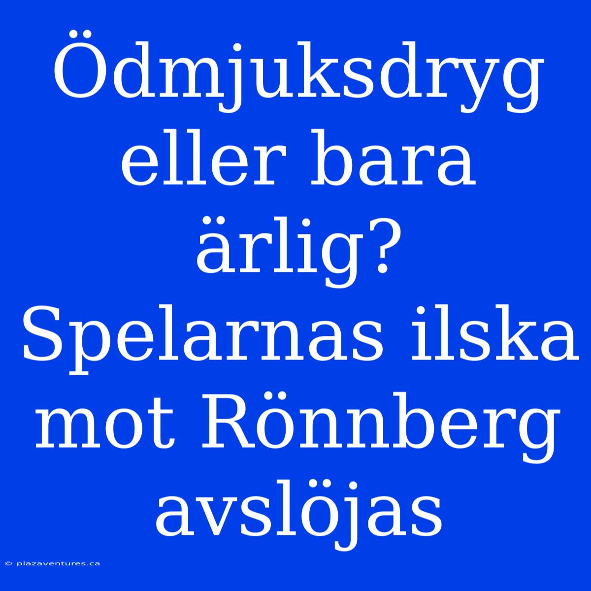 Ödmjuksdryg Eller Bara Ärlig? Spelarnas Ilska Mot Rönnberg Avslöjas