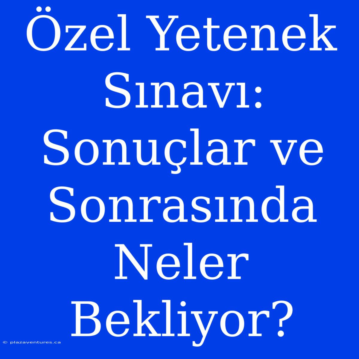 Özel Yetenek Sınavı: Sonuçlar Ve Sonrasında Neler Bekliyor?