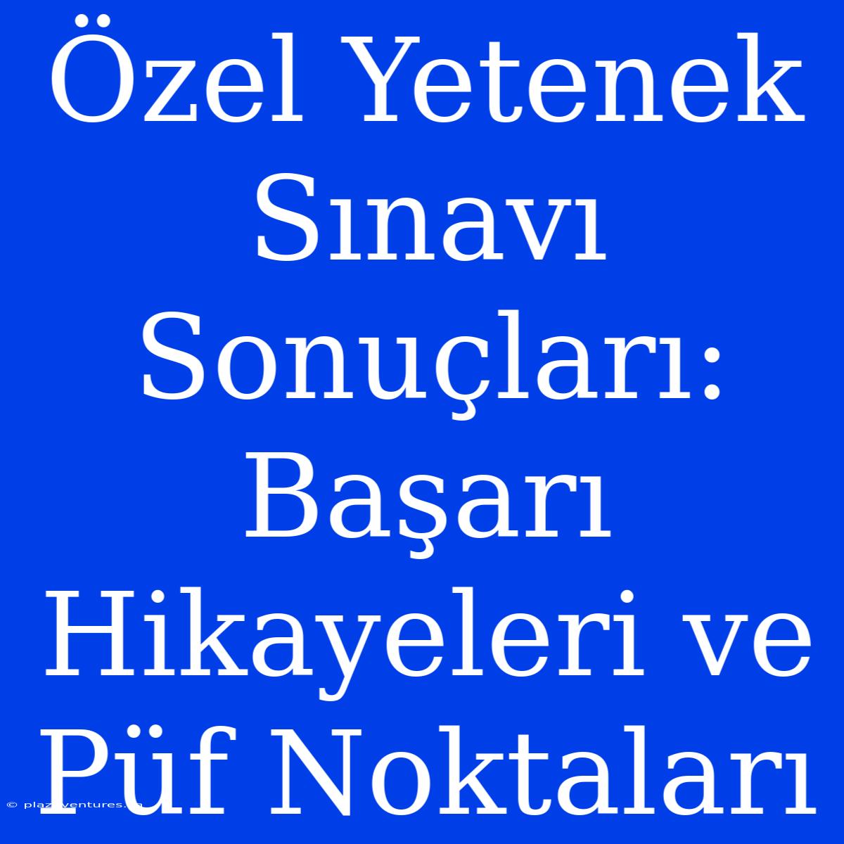 Özel Yetenek Sınavı Sonuçları: Başarı Hikayeleri Ve Püf Noktaları