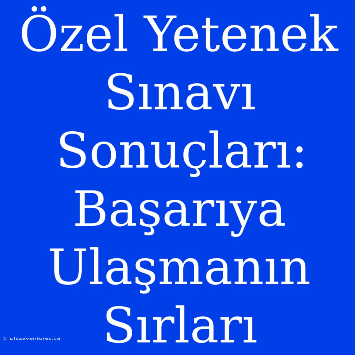 Özel Yetenek Sınavı Sonuçları: Başarıya Ulaşmanın Sırları