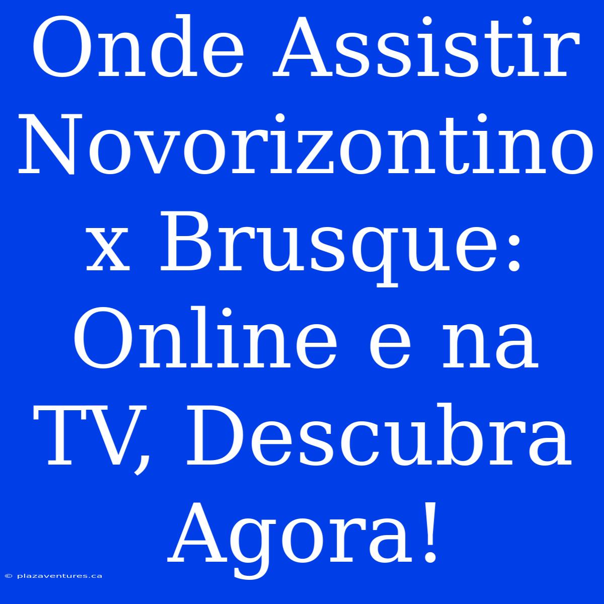 Onde Assistir Novorizontino X Brusque: Online E Na TV, Descubra Agora!