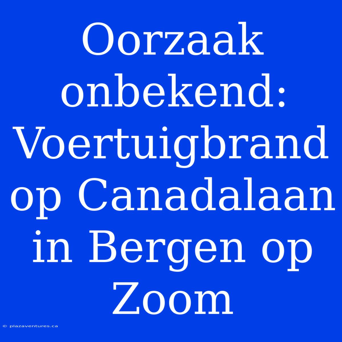 Oorzaak Onbekend: Voertuigbrand Op Canadalaan In Bergen Op Zoom