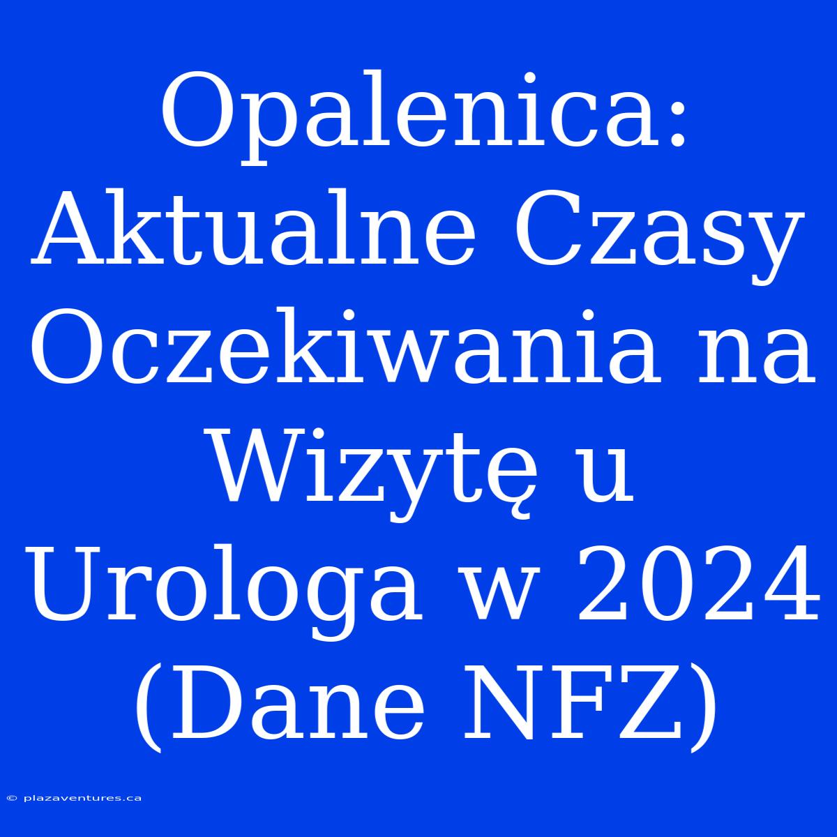 Opalenica: Aktualne Czasy Oczekiwania Na Wizytę U Urologa W 2024 (Dane NFZ)