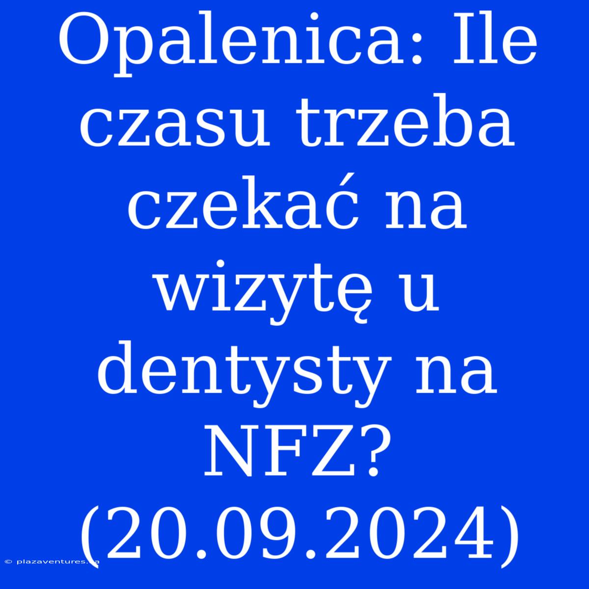 Opalenica: Ile Czasu Trzeba Czekać Na Wizytę U Dentysty Na NFZ? (20.09.2024)