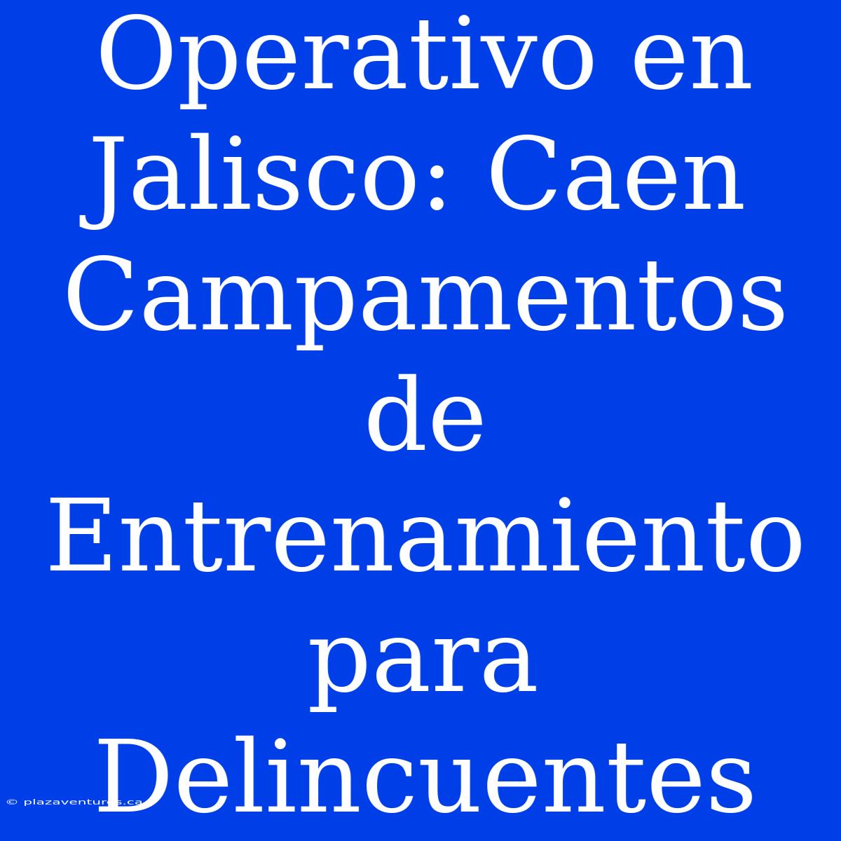 Operativo En Jalisco: Caen Campamentos De Entrenamiento Para Delincuentes