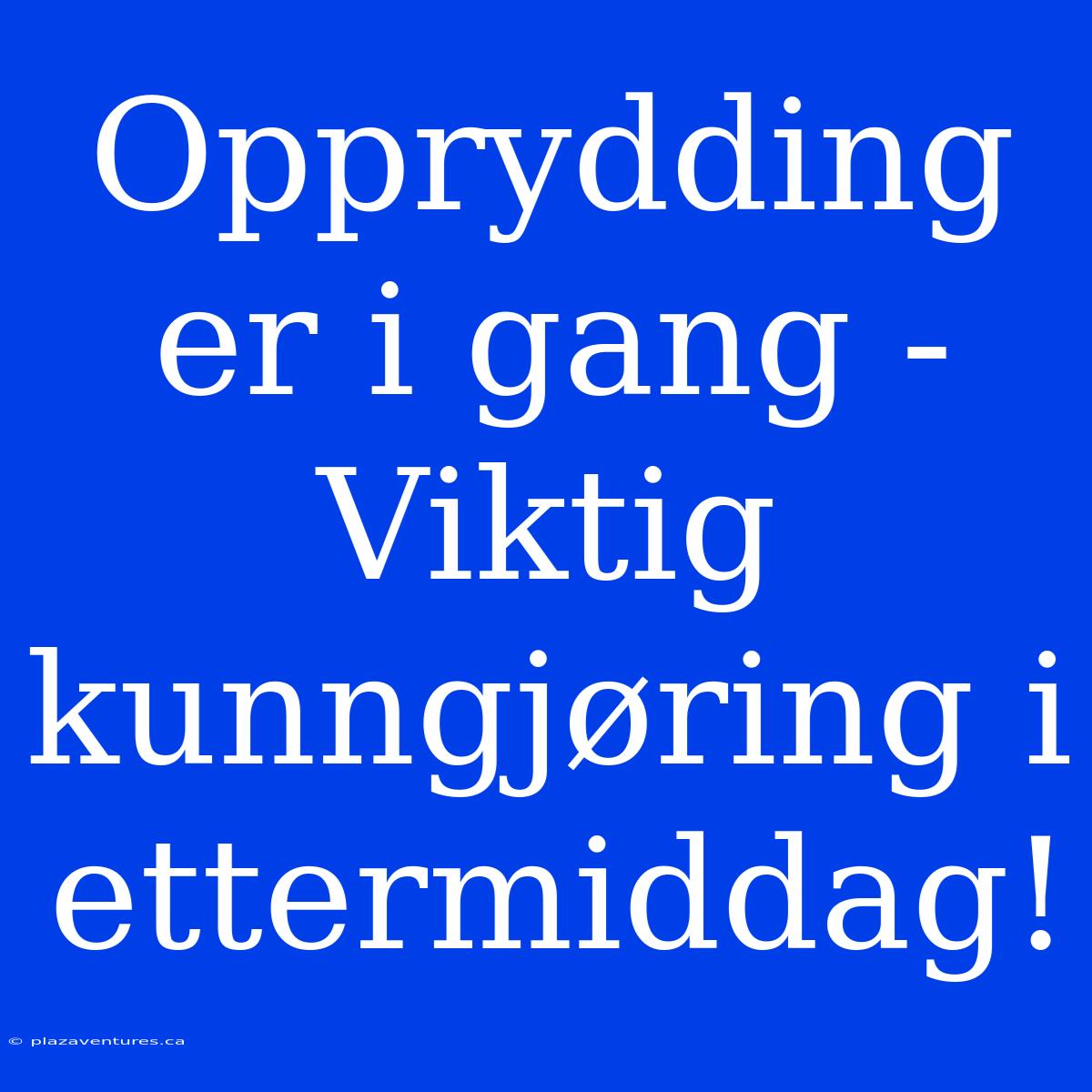 Opprydding Er I Gang - Viktig Kunngjøring I Ettermiddag!