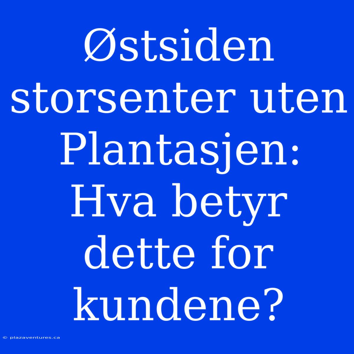 Østsiden Storsenter Uten Plantasjen: Hva Betyr Dette For Kundene?