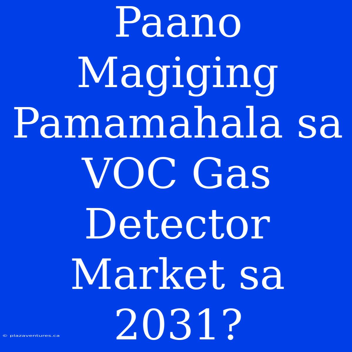 Paano Magiging Pamamahala Sa VOC Gas Detector Market Sa 2031?