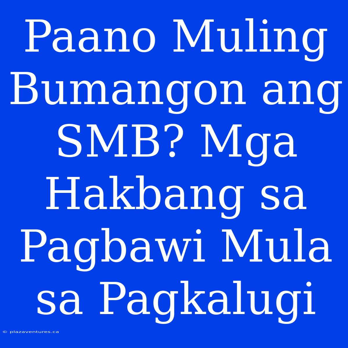 Paano Muling Bumangon Ang SMB? Mga Hakbang Sa Pagbawi Mula Sa Pagkalugi