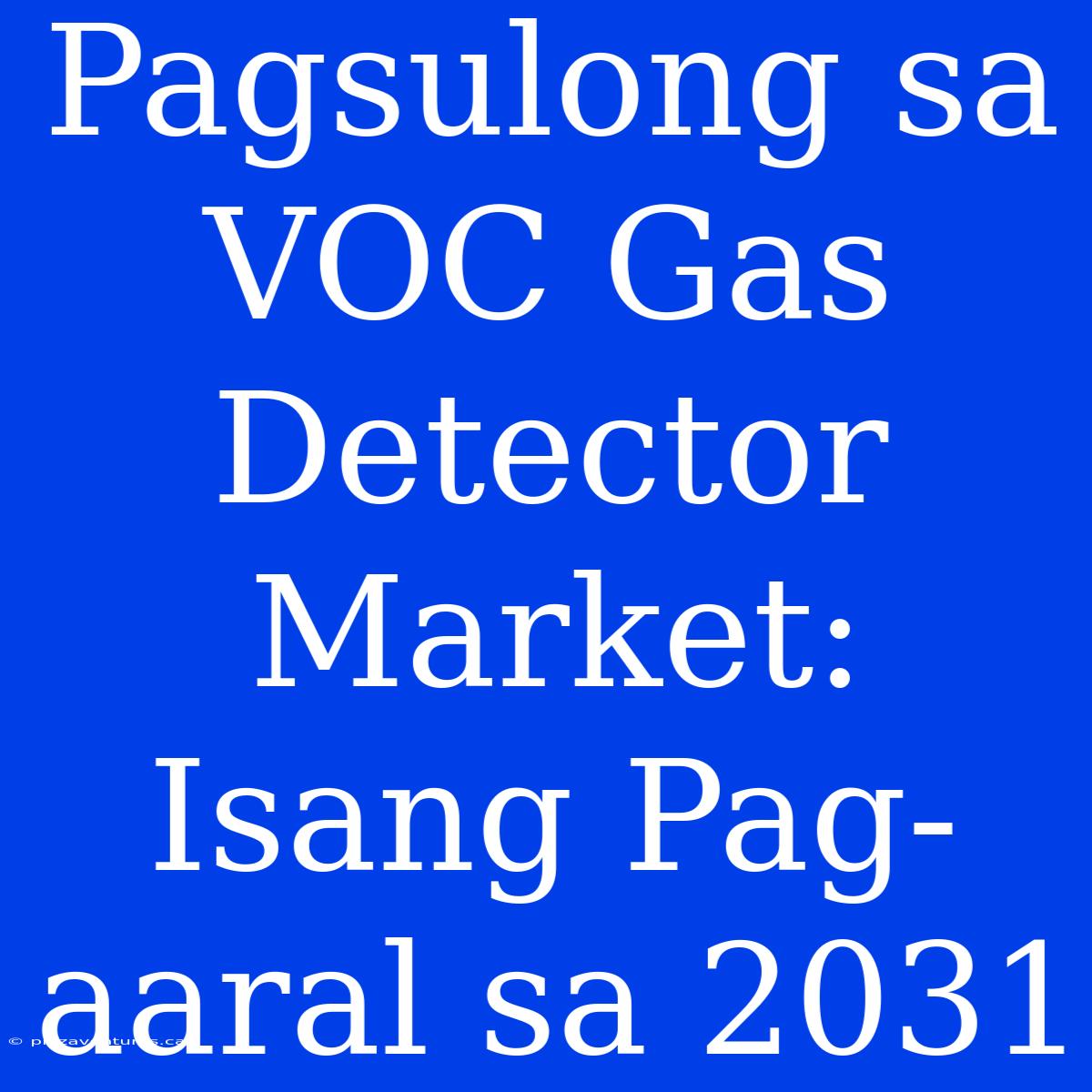 Pagsulong Sa VOC Gas Detector Market: Isang Pag-aaral Sa 2031