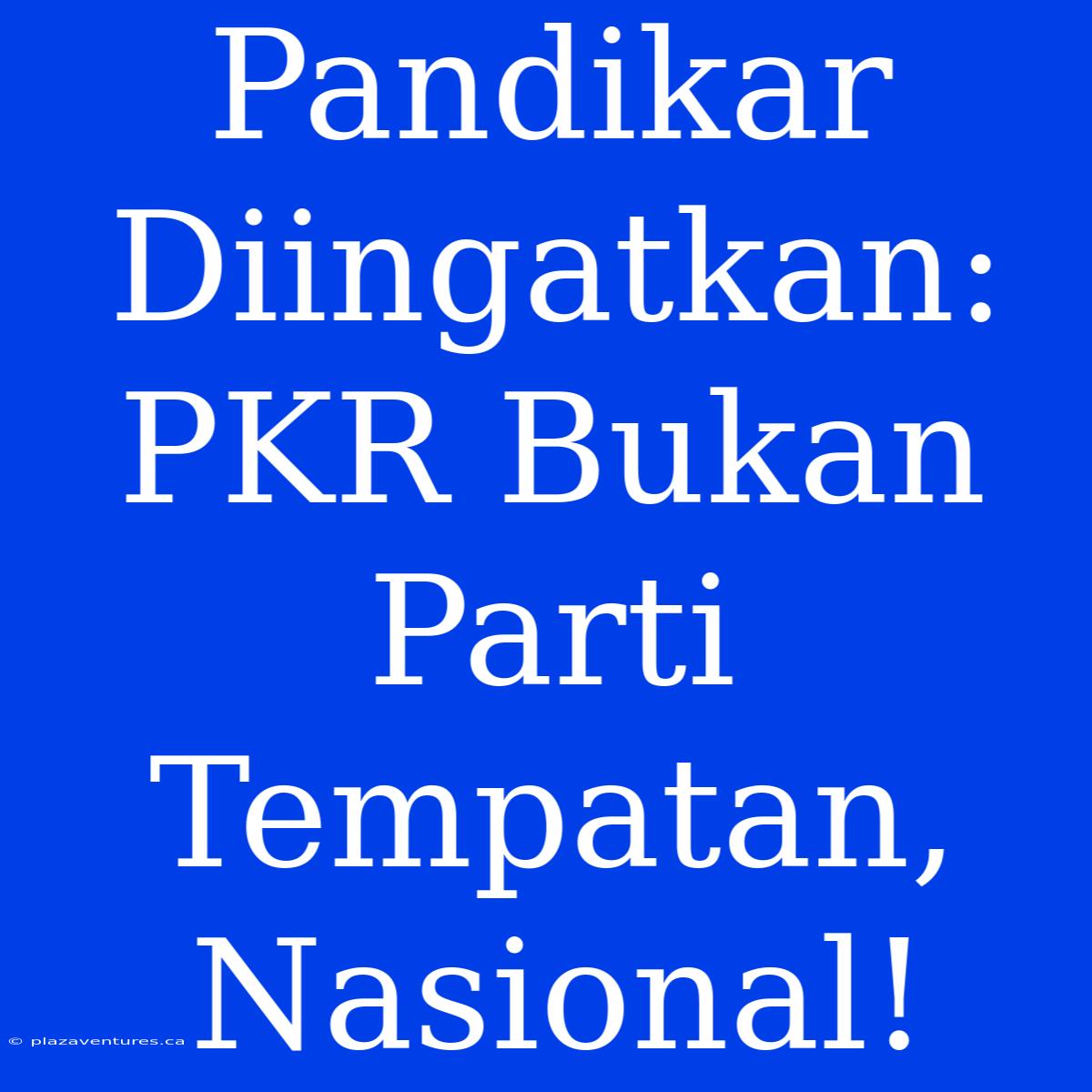 Pandikar Diingatkan: PKR Bukan Parti Tempatan, Nasional!