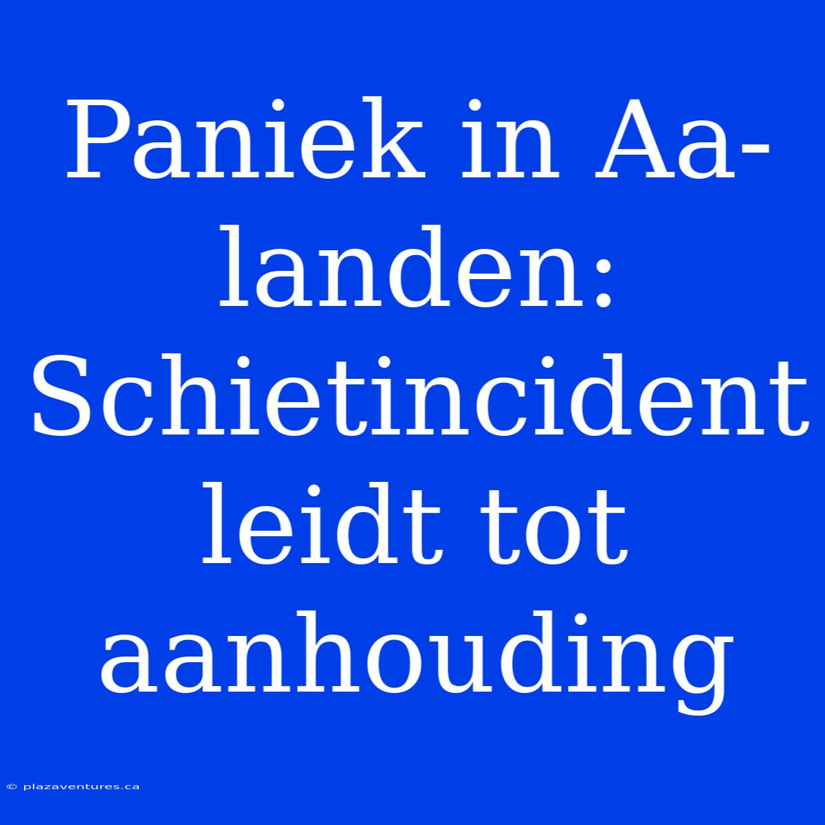 Paniek In Aa-landen: Schietincident Leidt Tot Aanhouding