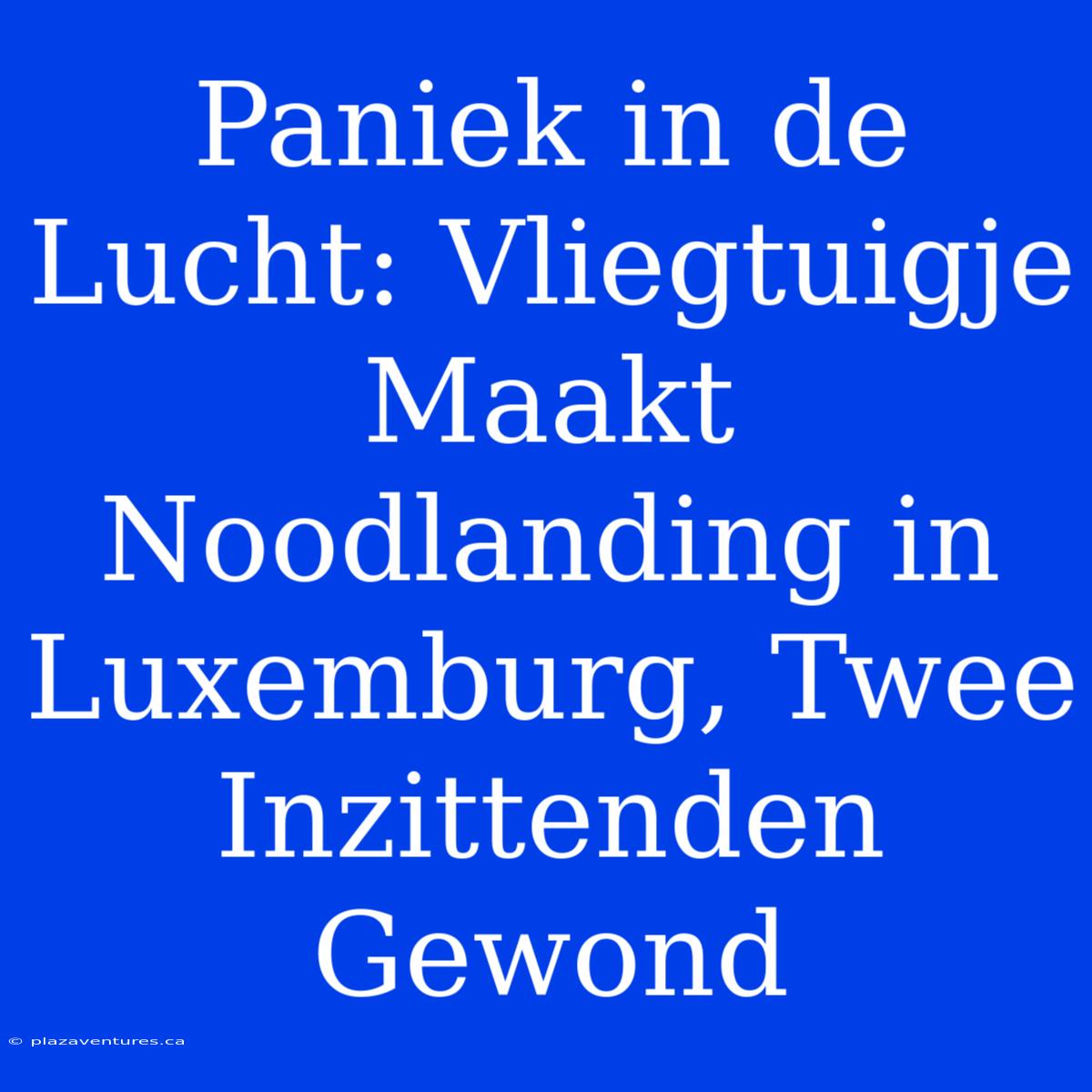 Paniek In De Lucht: Vliegtuigje Maakt Noodlanding In Luxemburg, Twee Inzittenden Gewond