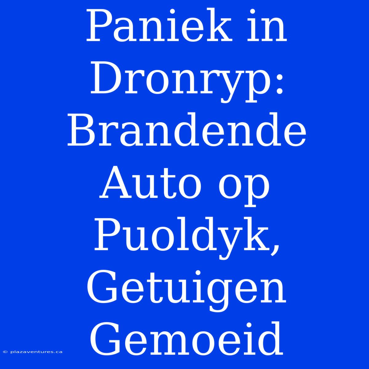 Paniek In Dronryp: Brandende Auto Op Puoldyk, Getuigen Gemoeid