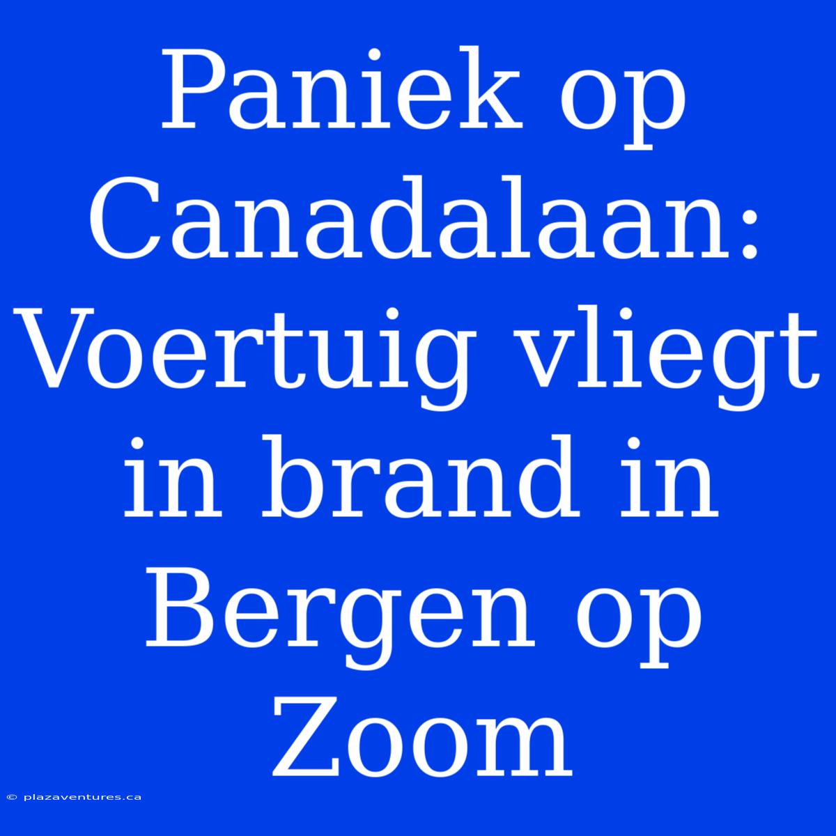 Paniek Op Canadalaan: Voertuig Vliegt In Brand In Bergen Op Zoom