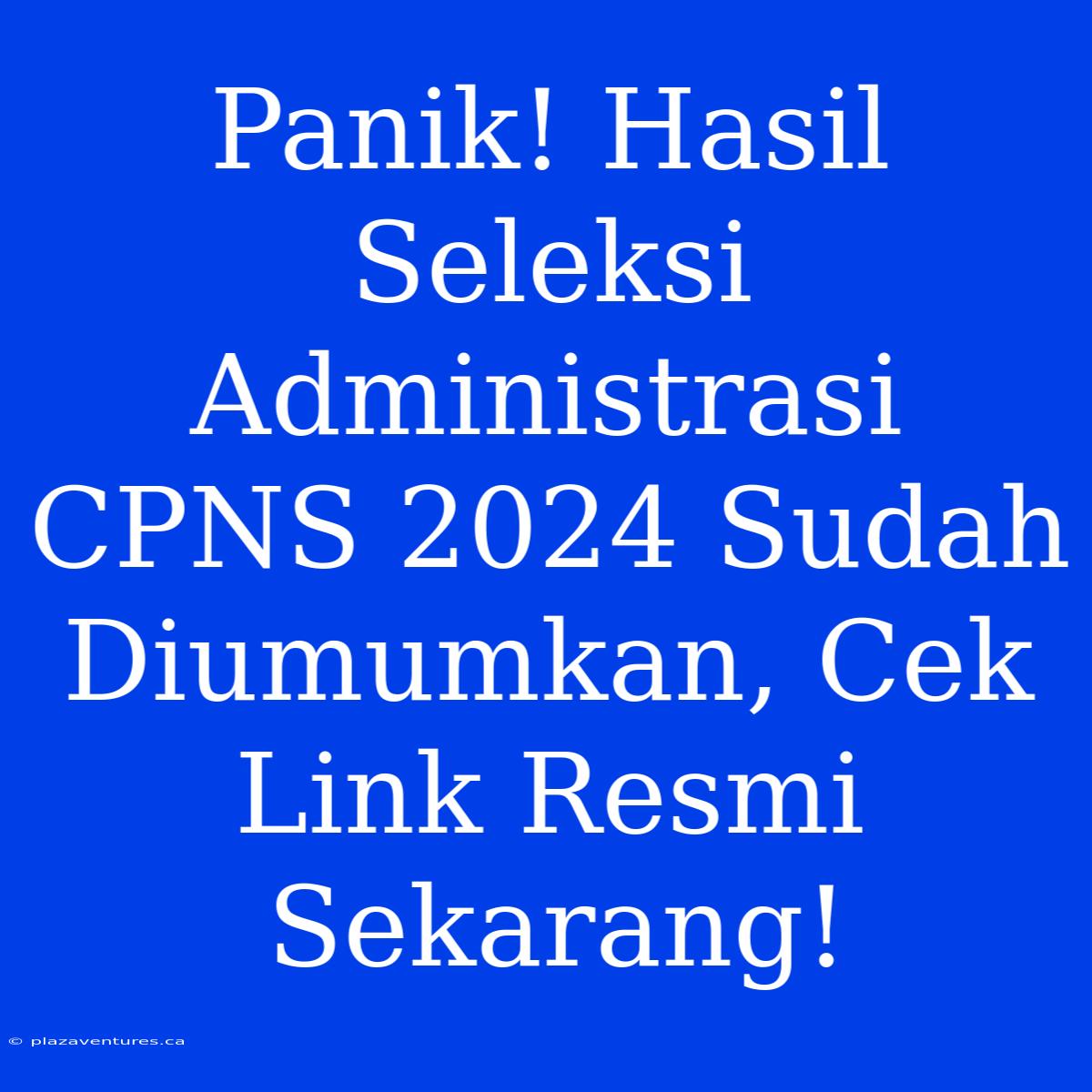 Panik! Hasil Seleksi Administrasi CPNS 2024 Sudah Diumumkan, Cek Link Resmi Sekarang!