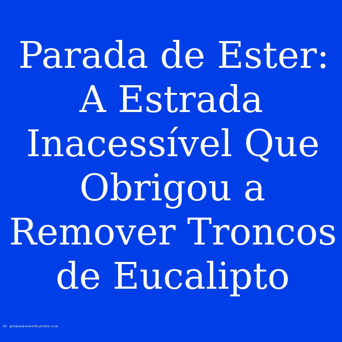 Parada De Ester: A Estrada Inacessível Que Obrigou A Remover Troncos De Eucalipto