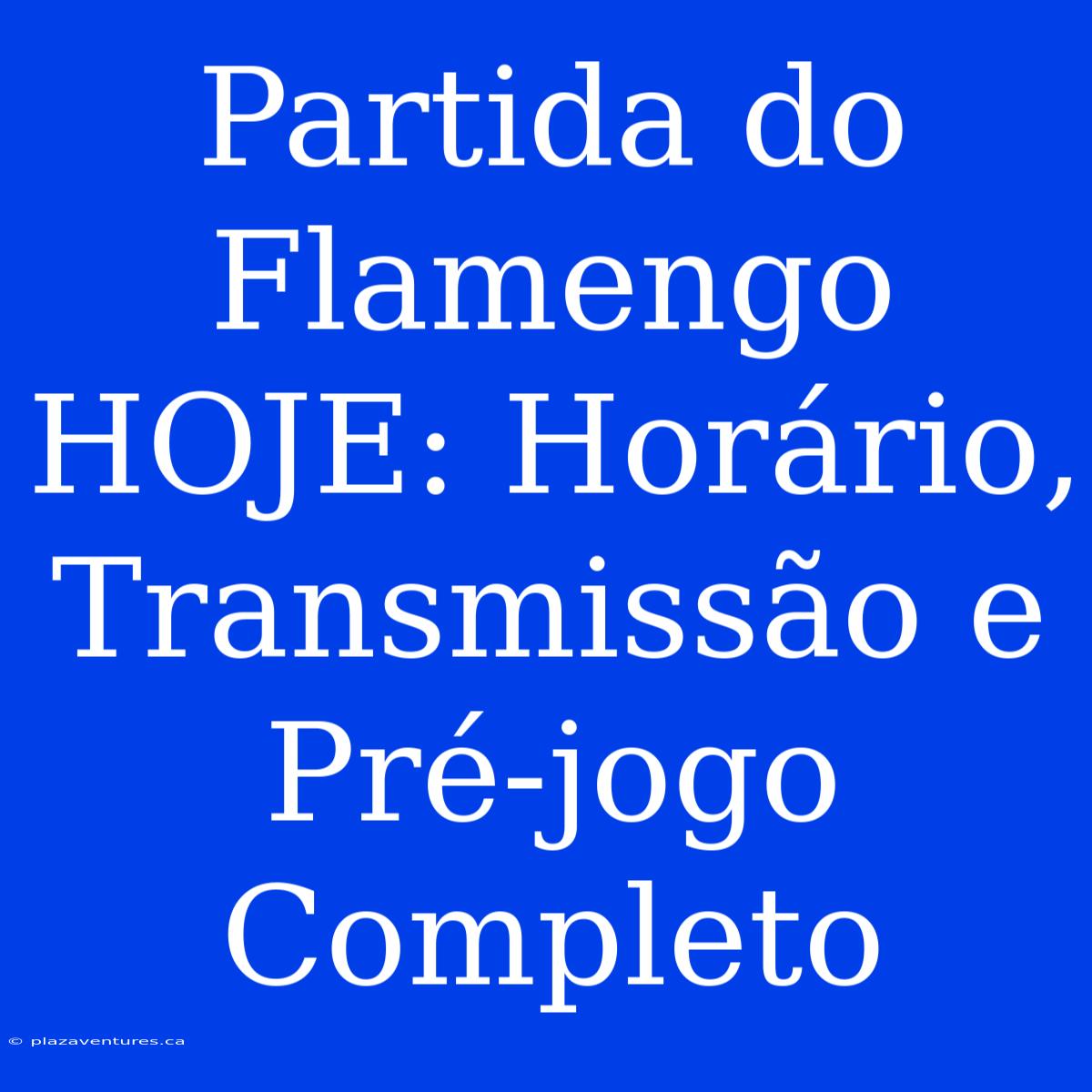 Partida Do Flamengo HOJE: Horário, Transmissão E Pré-jogo Completo