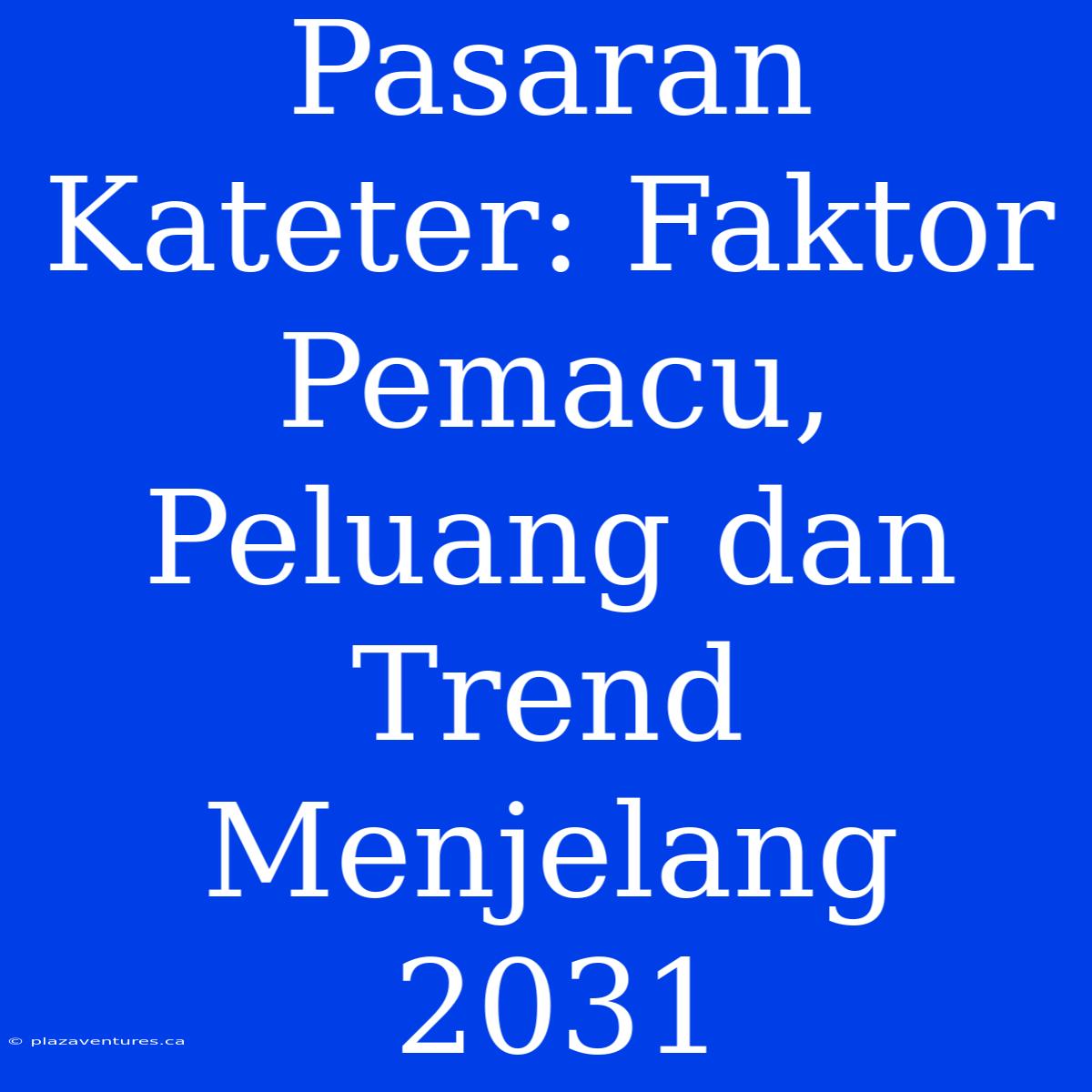 Pasaran Kateter: Faktor Pemacu, Peluang Dan Trend Menjelang 2031