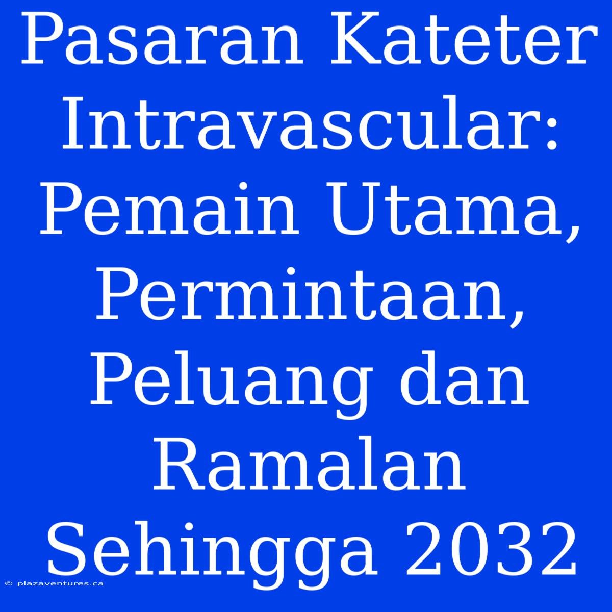 Pasaran Kateter Intravascular: Pemain Utama, Permintaan, Peluang Dan Ramalan Sehingga 2032