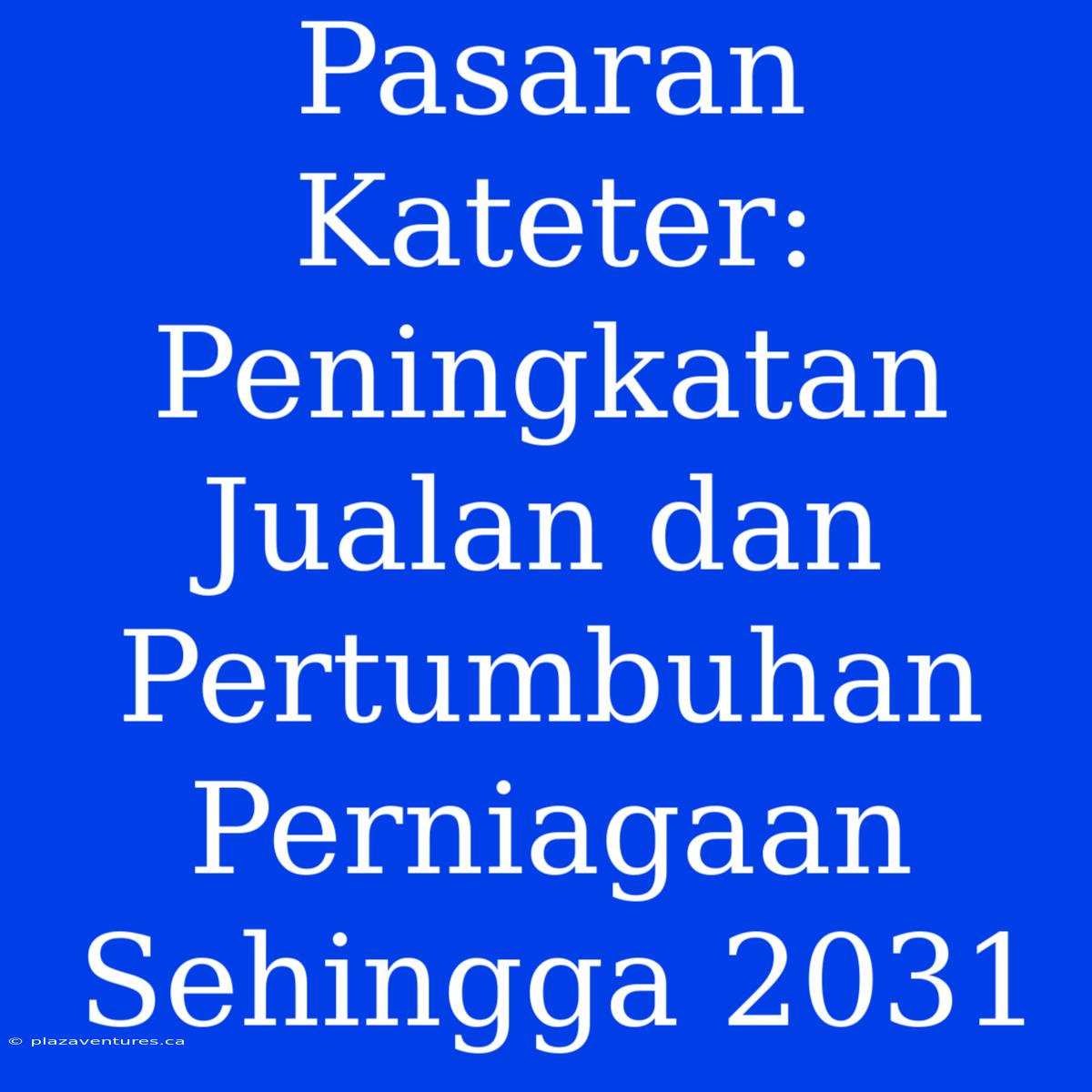 Pasaran Kateter: Peningkatan Jualan Dan Pertumbuhan Perniagaan Sehingga 2031