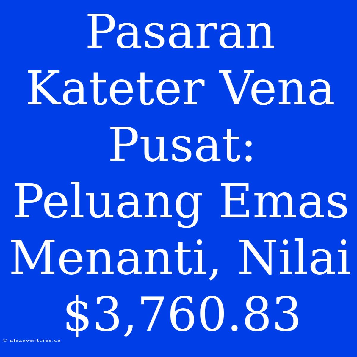 Pasaran Kateter Vena Pusat: Peluang Emas Menanti, Nilai $3,760.83