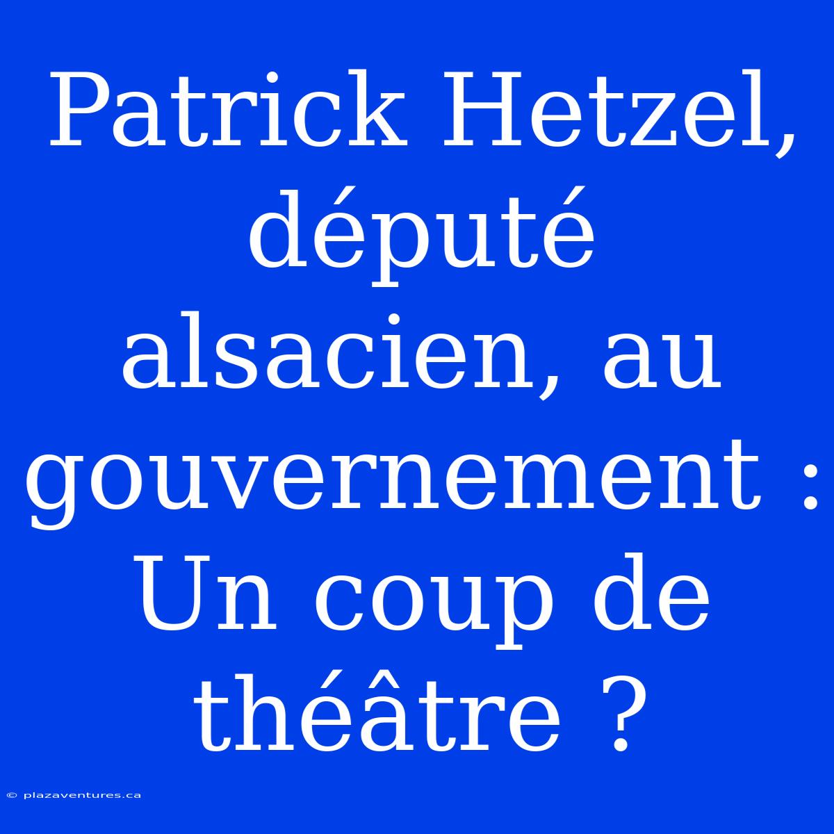 Patrick Hetzel, Député Alsacien, Au Gouvernement : Un Coup De Théâtre ?